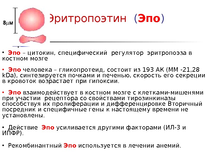 Эритропоэтин Купить В Казани