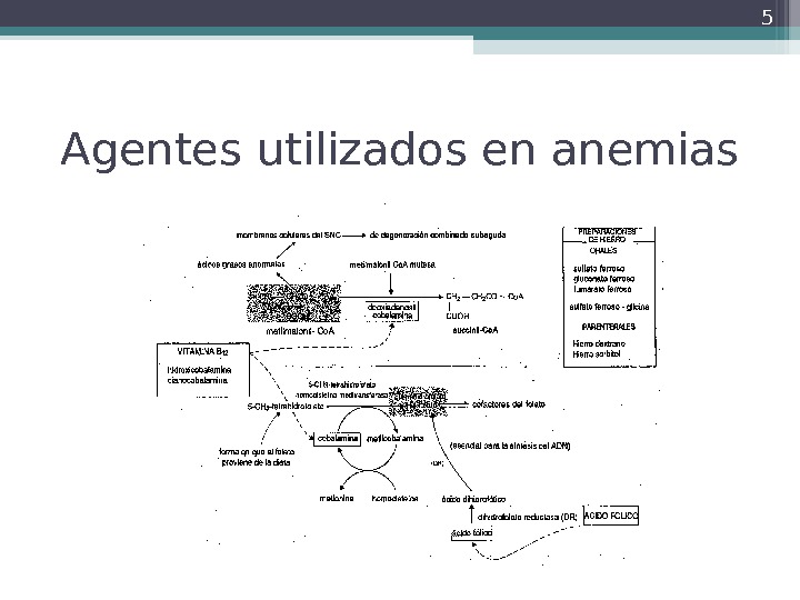 Farmacolog Ia Drogas Usadas En La