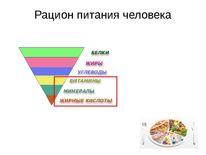 Правильный Рацион Питания Человека