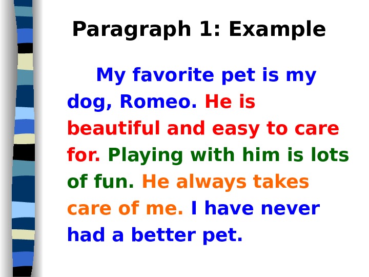 Essay on my pet dog for class 2
