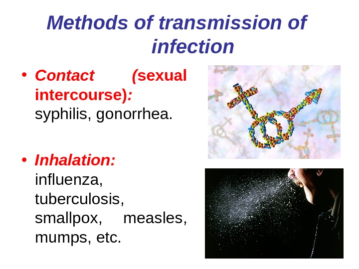 INFECTION AND INFECTIOUS PROCESS 1. Infection. Classification Of