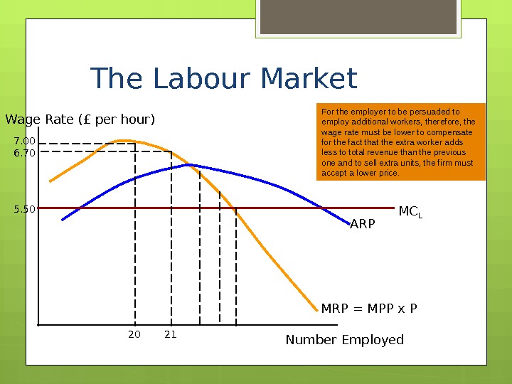 The Labour Market The Supply and Demand for