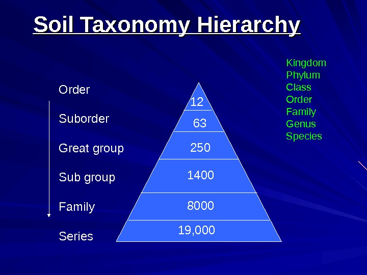 Soil Morphology And Classification E Horizon.