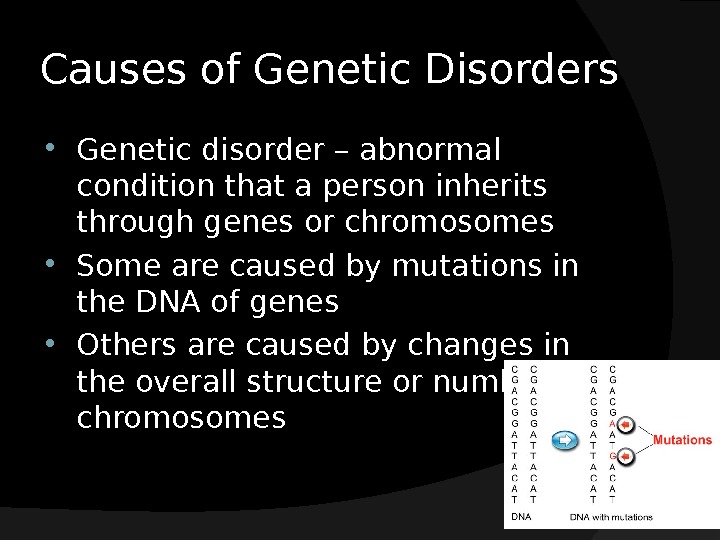 Презентация Портфолио Human Genetic Disorders