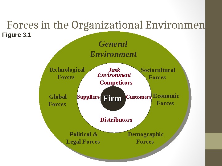 Organizations And Organizational Environment 3 Types Of