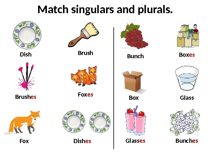 singular-and-plural-nouns
