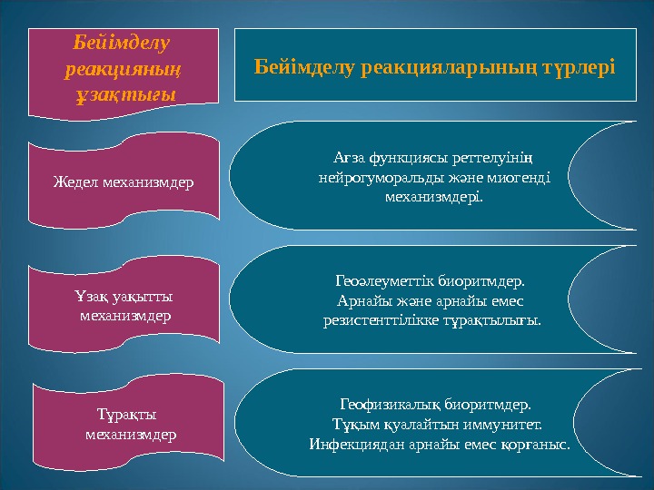 Ан тамырлары реферат