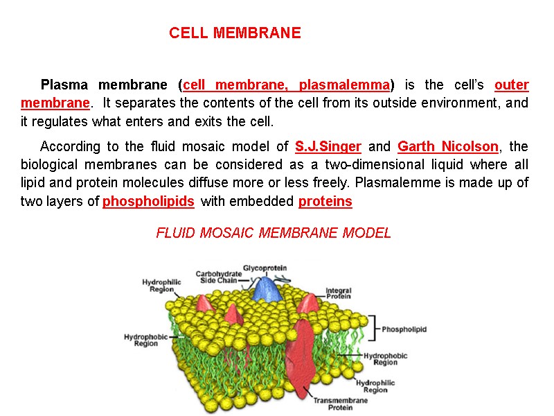 plant-biology-in-e-n-g-l-i