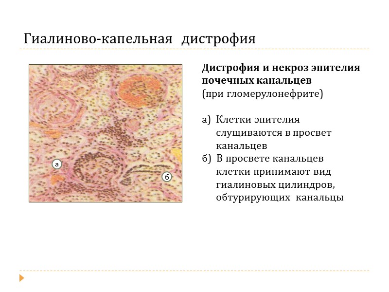 Пауков.Хитров Патология Учебник