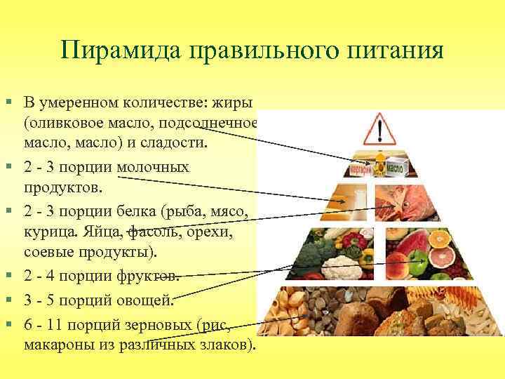 Наука О Правильном Питании Нутрициология