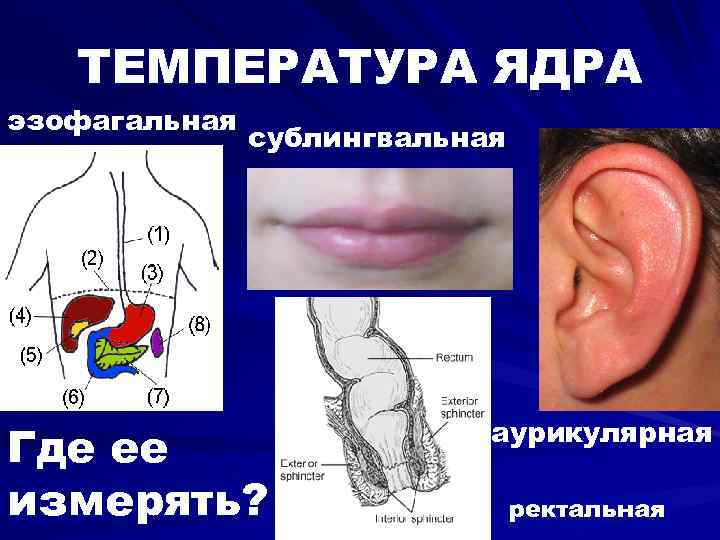 Сублингвальный Варикоз Языка