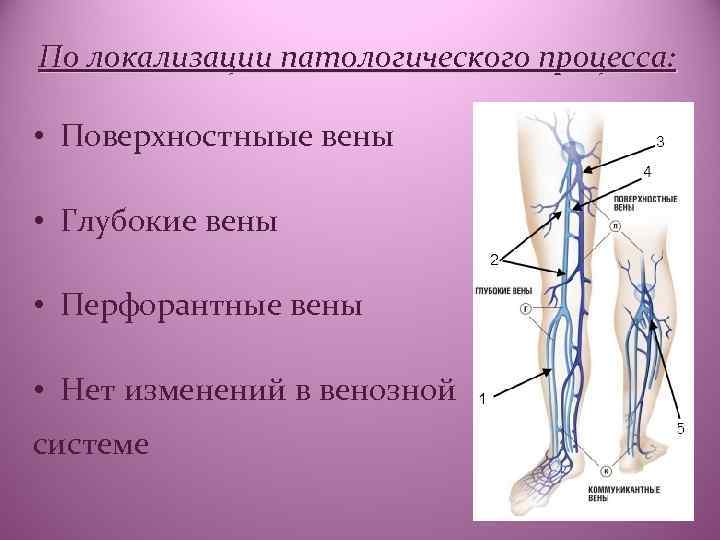 Варикозное Расширение Вен Нижних Конечностей Факультетская Хирургия