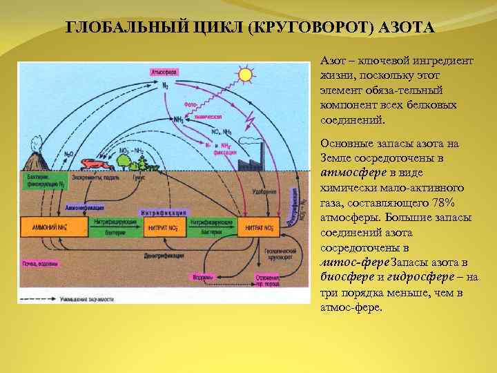 Порно Комикс Круговорот На Русском