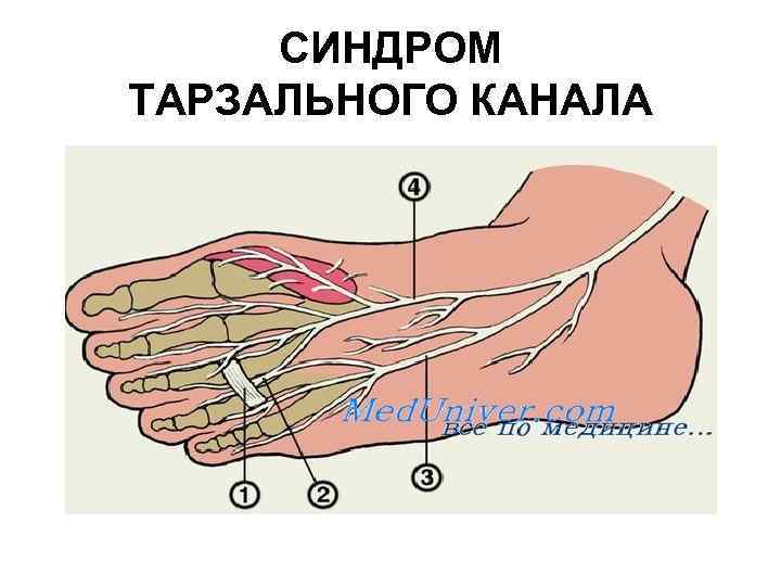 У Сары судорогой сводит ноги когда ей лижут киску и ебут смачно