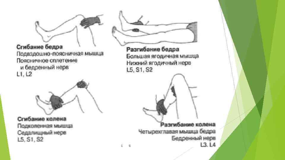 Вибратор С Функцией Ротации