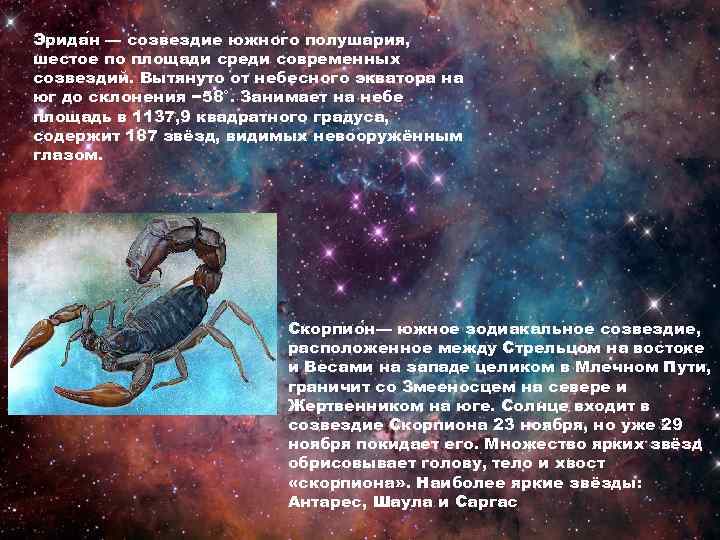 Гороскоп На 2023 Скорпион 3 Декада