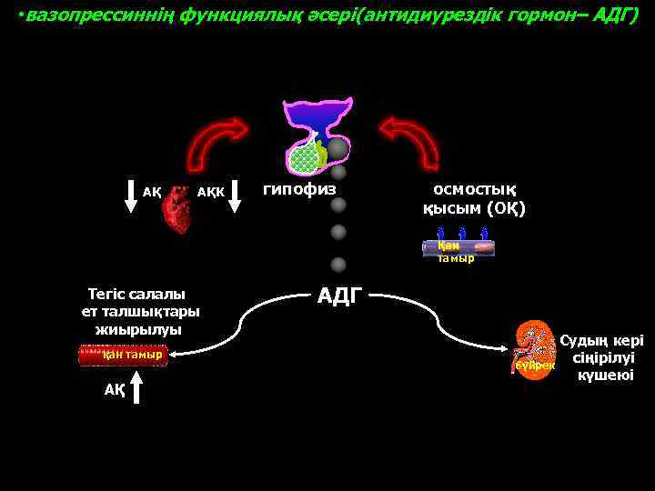 Адг Бай Магазин