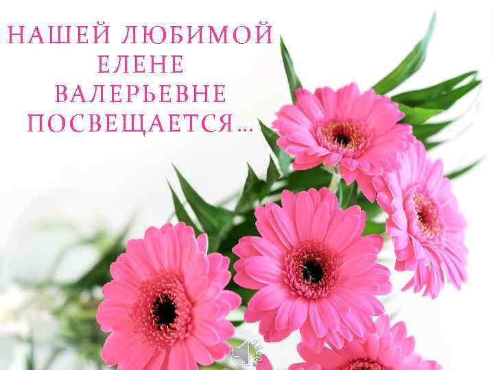 Поздравления С Днем Рождения Елена Валерьевна