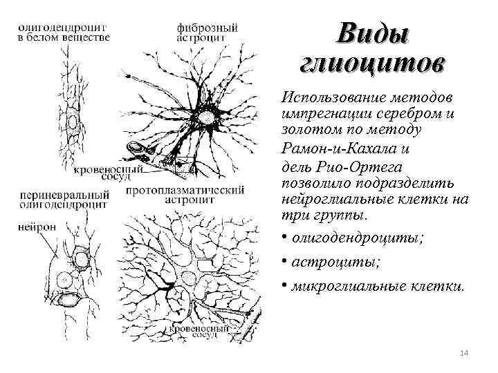 Секс Фурри Комикс Импрегнация