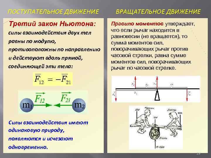 Фаллоимитатор С Поступательными Движениями Обзор