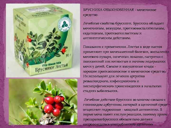 Эликсир страсти 