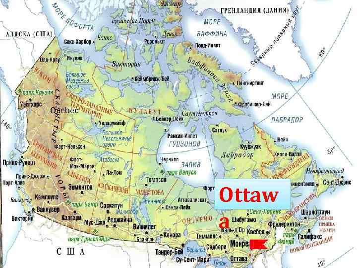 Asian blow ottawa