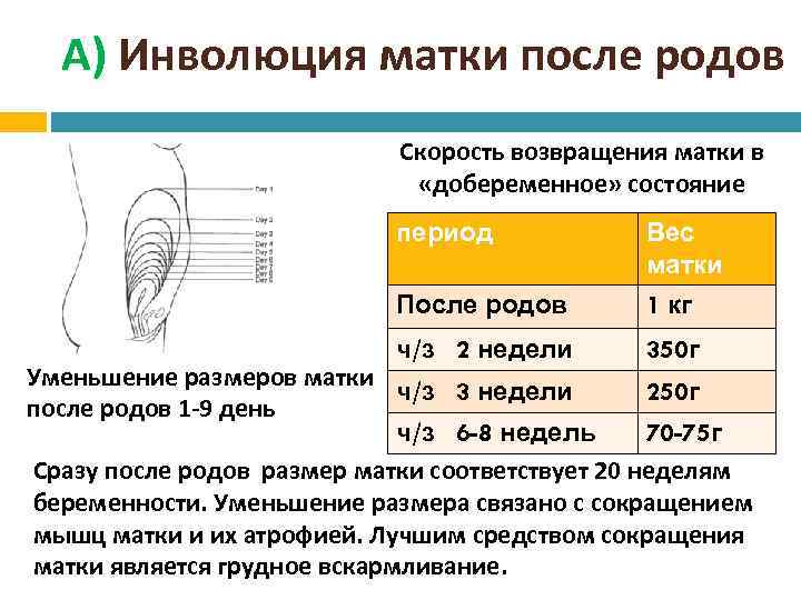 Секс После Родов 4 Недели