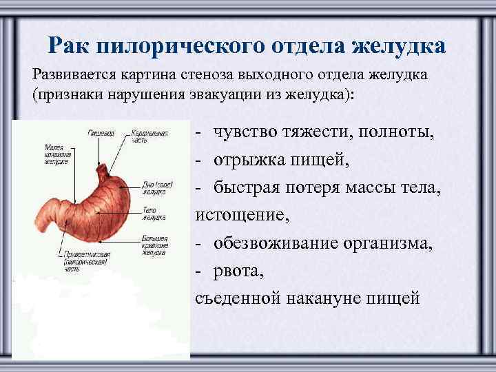 Рак Желудка Симптомы Диета