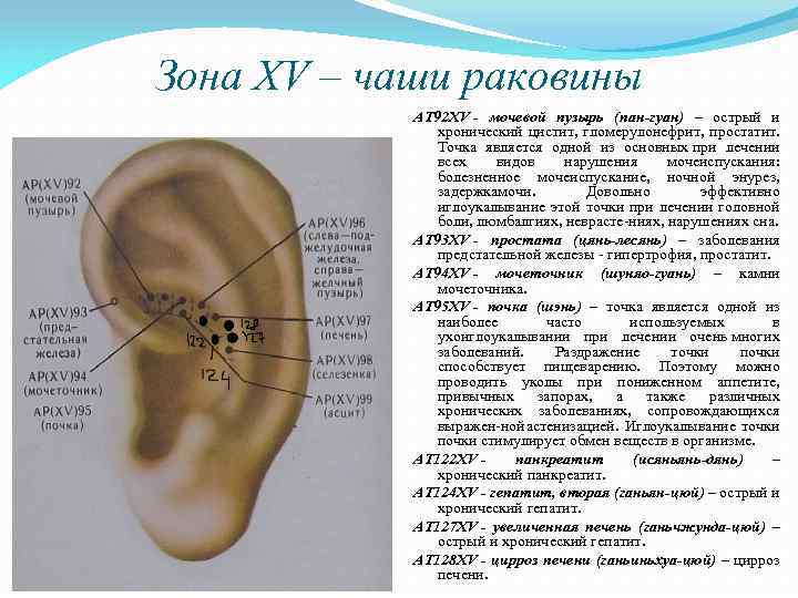 Мочевой Пузырь Во Время Секса