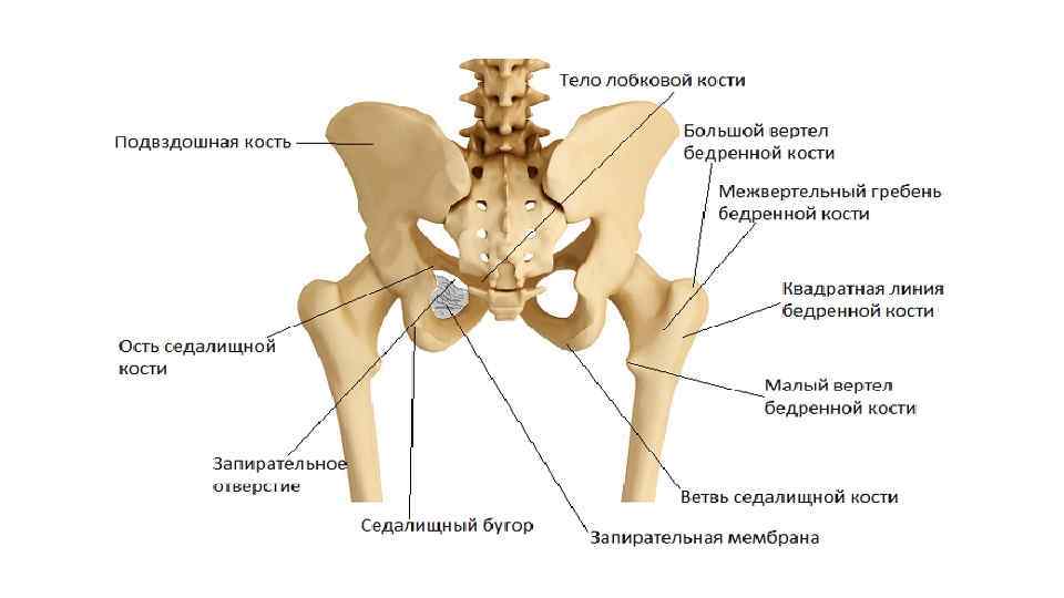 Сексуальная Света выебана спереди и сзади