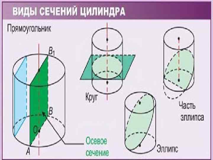 Секс Вид В Разрезе