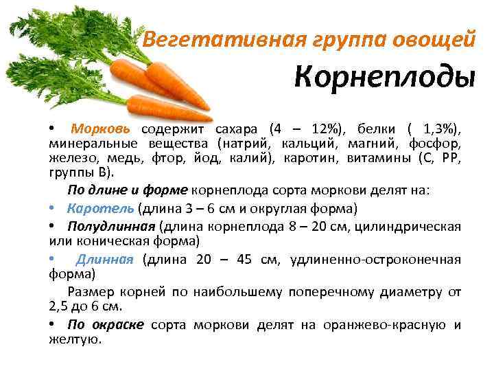 Диета На Сырой Моркови