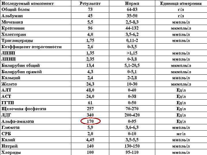 Белковая Диета Повышен Креатинин Мочевина Холестерин