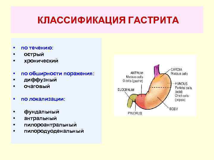 Антральный Гастрит Лечение Диета