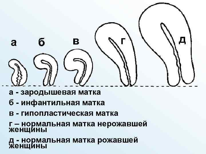 Этот резиновый член такой длинный что вошёл в матку девушки