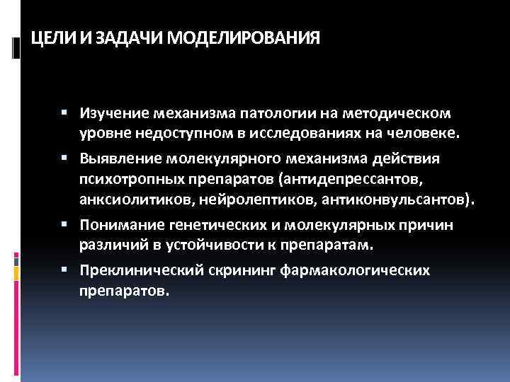 Задачи Моделирования Причесок