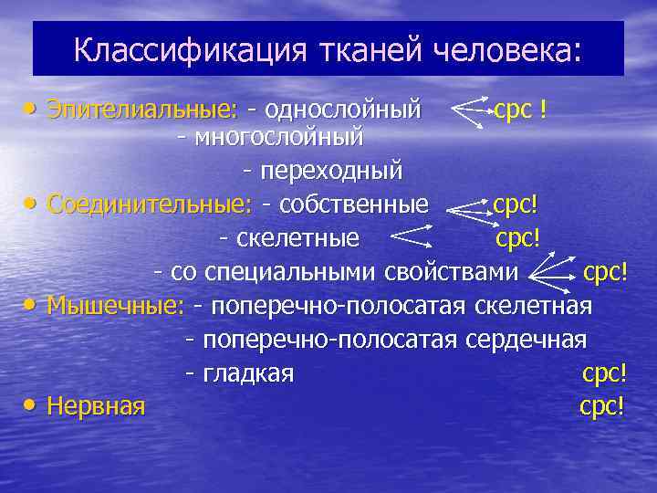 Возрастная