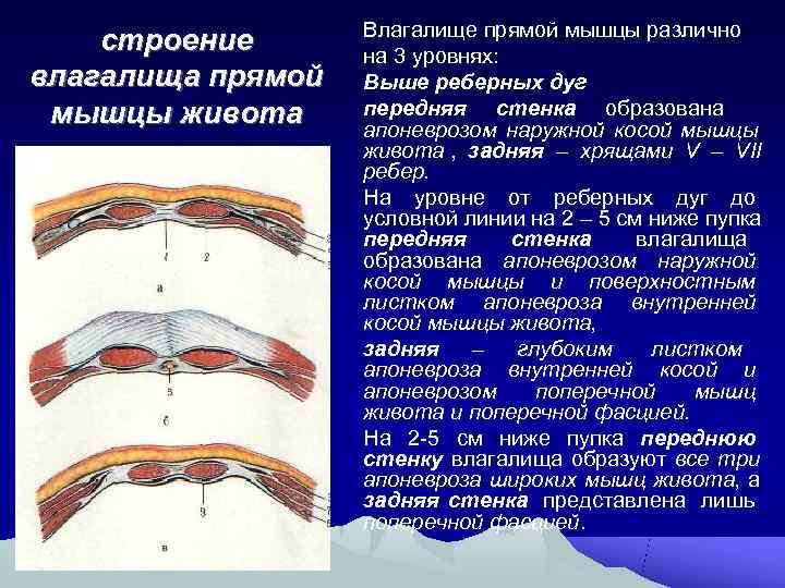 Кимберли Чи мышцами вагины выталкивает сперму наружу