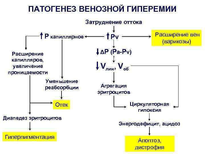 Расширение Вен Этиология Патогенез