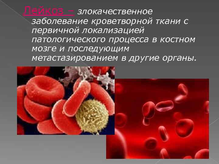 Диета При Заболеваниях Крови И Кроветворных Органов
