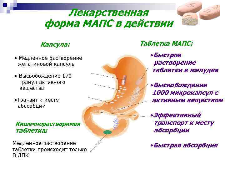 Детралекс Болит Желудок