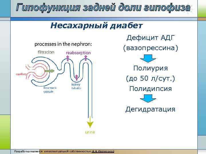 Адг Бай Магазин