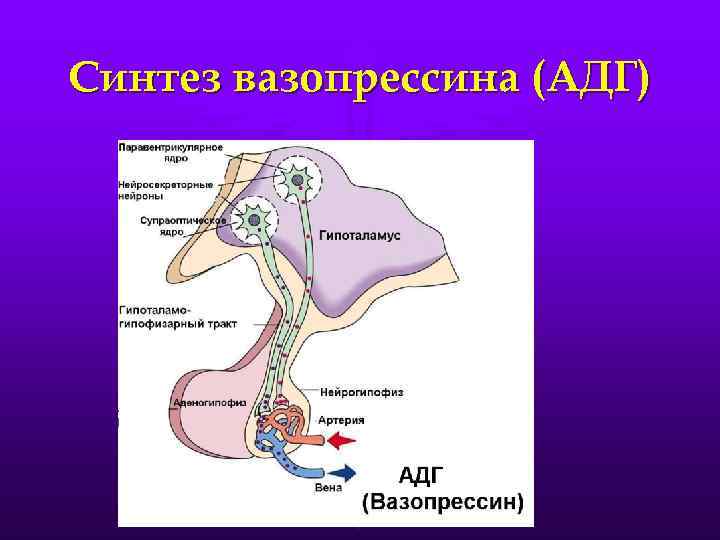 Адг Бай Магазин