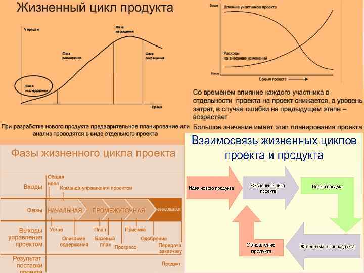 Варикоз 1 Стадии Жизненного Цикла