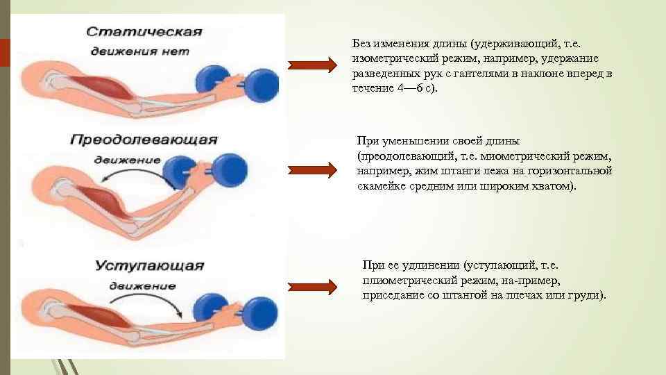 Вибратор На Максимальной Мощности