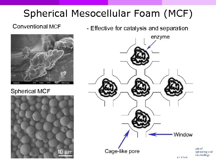 Siliceous Mesocellular Foam MCF For Green Chemistry Jaehong