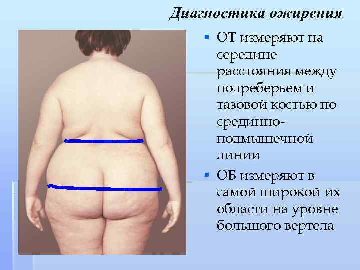Диагностика Лишнего Веса