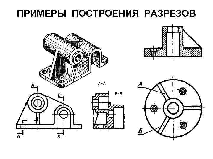 Секс Вид В Разрезе