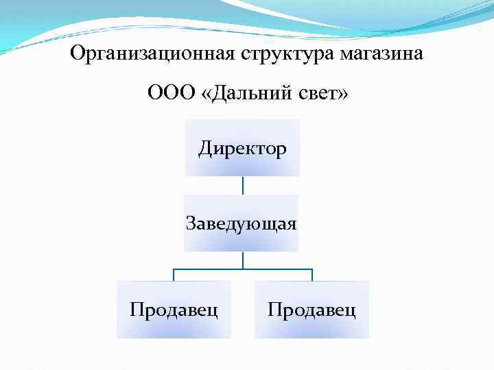 Организационная Структура Магазина Дикси