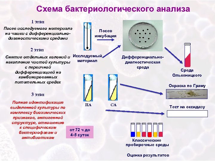 Как Вызвать Сущность Для Секса